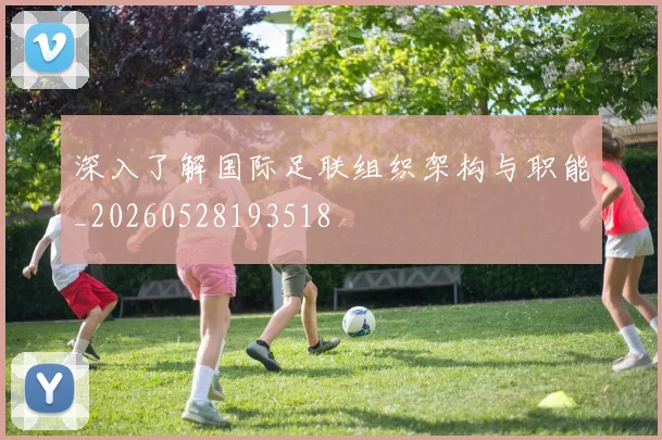 深入了解国际足联组织架构与职能_20260528193518
