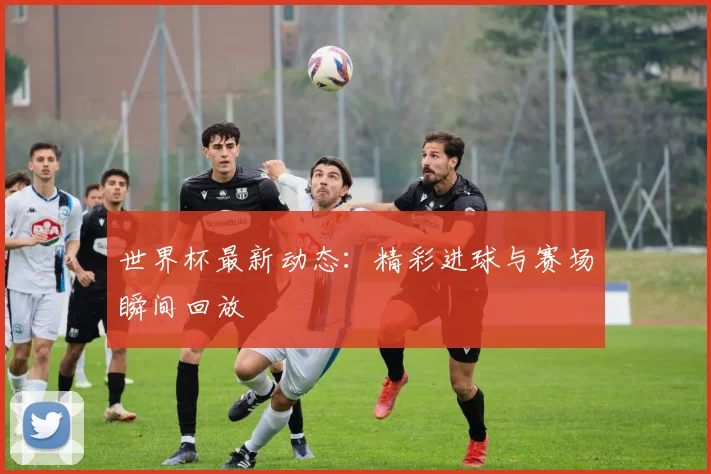 世界杯最新动态：精彩进球与赛场瞬间回放